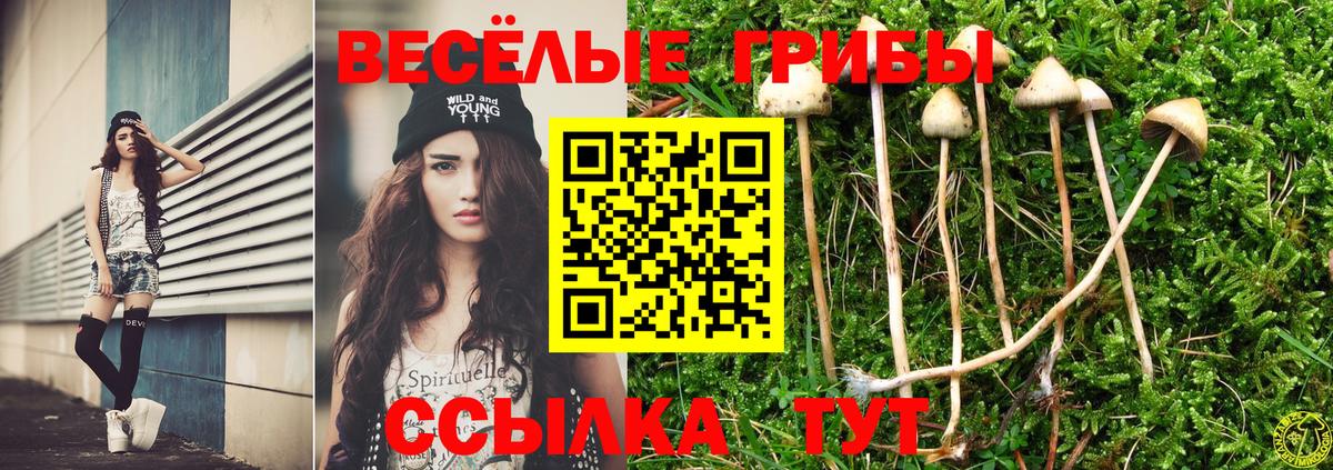 Галлюциногенные грибы MAGIC MUSHROOMS Усолье-Сибирское