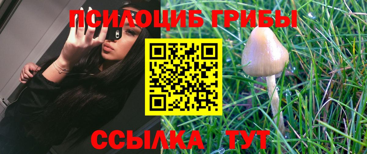 Псилоцибиновые грибы MAGIC MUSHROOMS  даркнет сайт  Вход с VPN  Усолье-Сибирское  Псилоцибиновые грибы мицелий 
